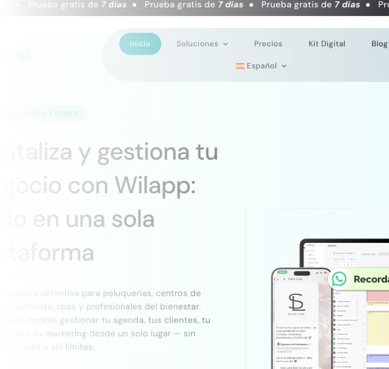 willap 